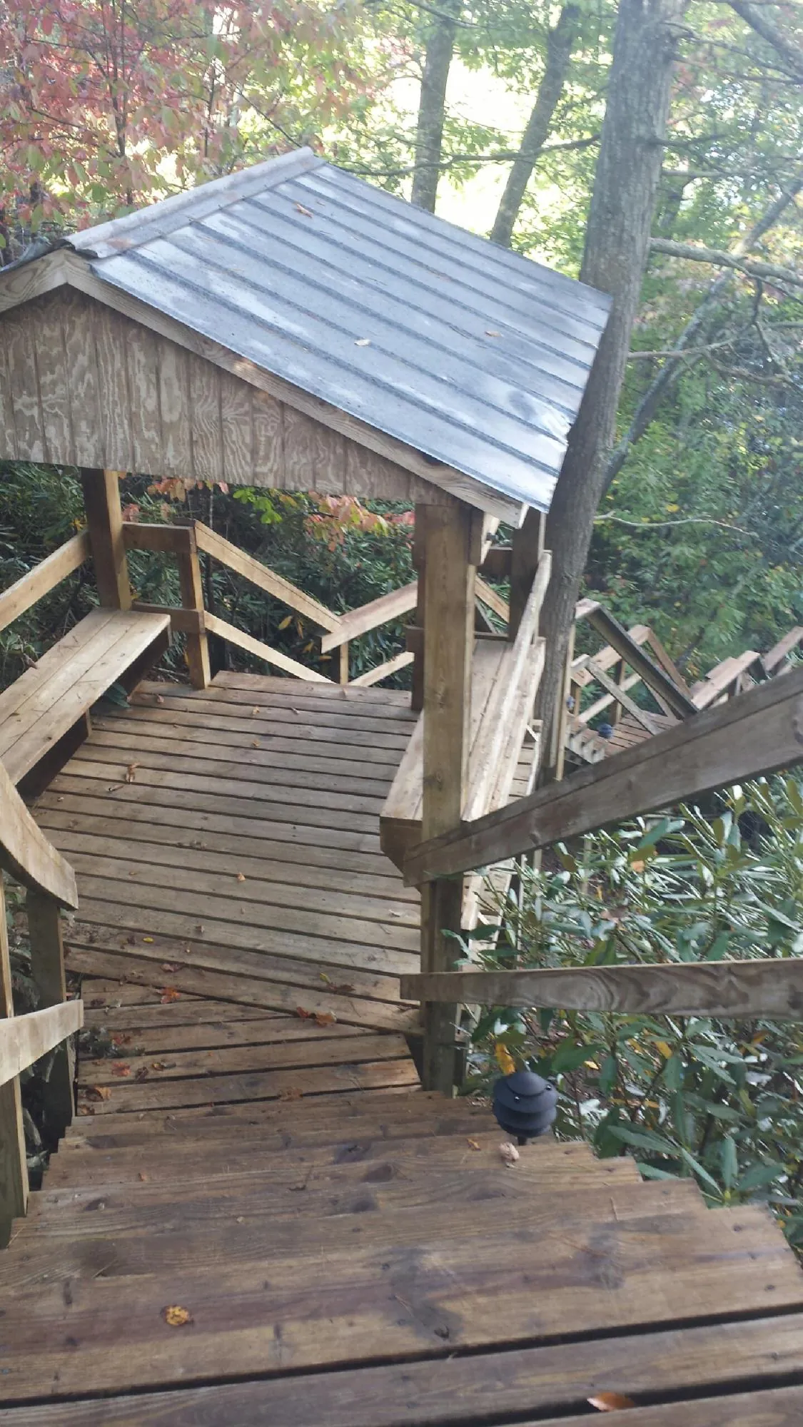 Metal roofed shelter over wooden steps on a wooded walkway — Skylight Repair & Installation work by our crew in Weed