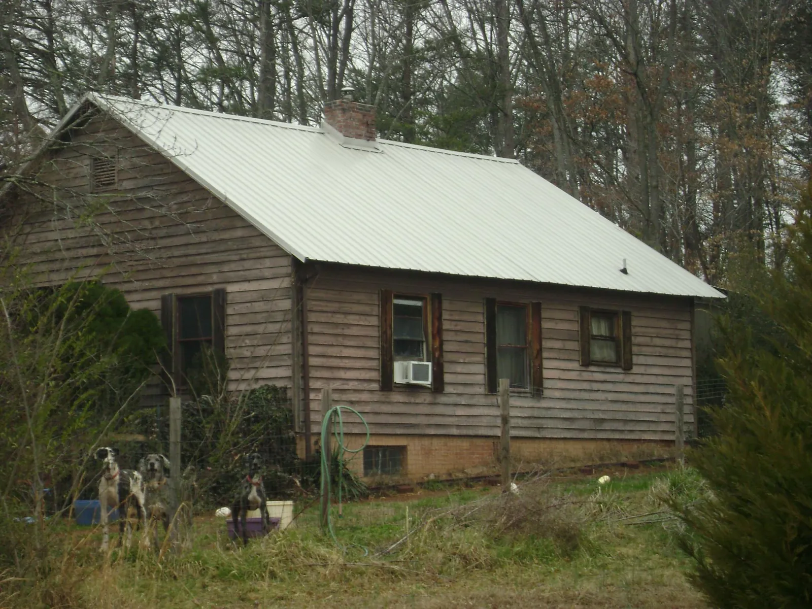 White metal roof on an old wood sided farmhouse, from a Asphalt Shingle Roof Repair job in Weed